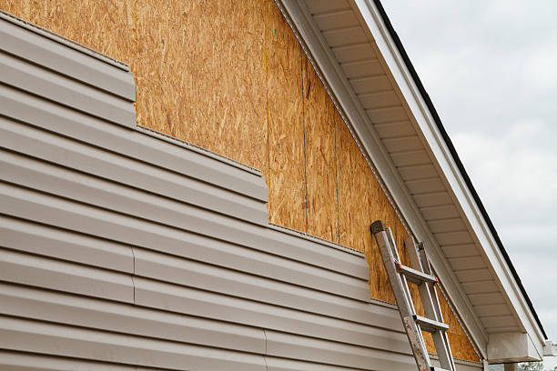 Professional Storm Damage Siding Repair technician working in Buena Vista, VA